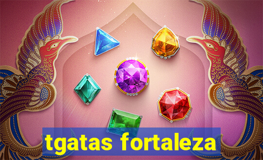 tgatas fortaleza